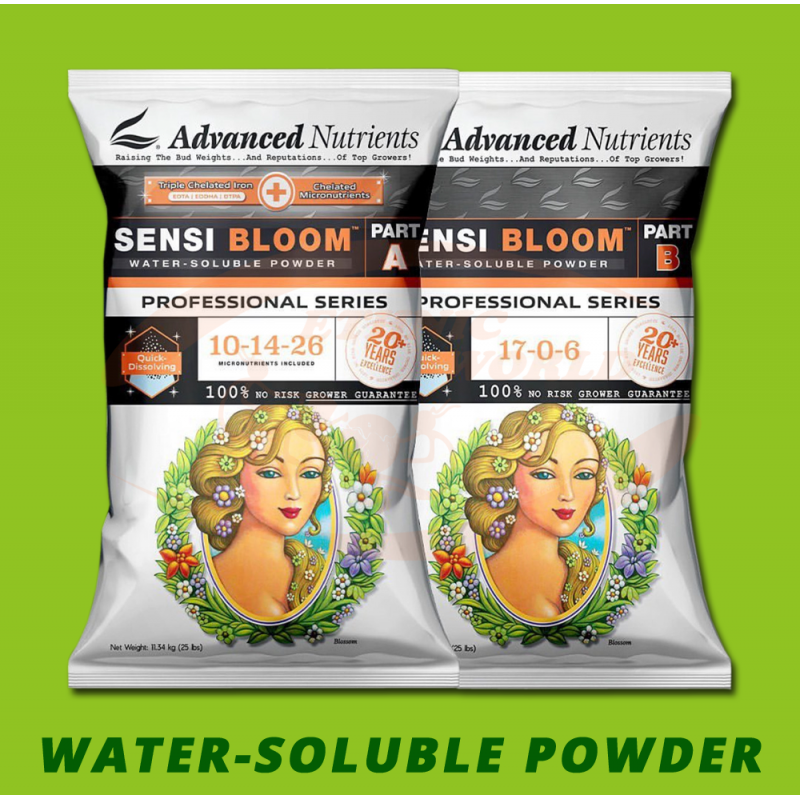 An Sensi Bloom Powder A B Ethnic World