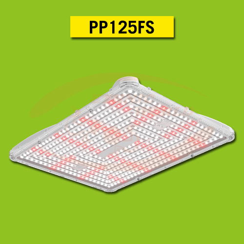 SJ - Kit LED 125W FULL SPECTRUM