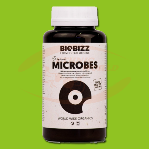 Biobizz Microbes