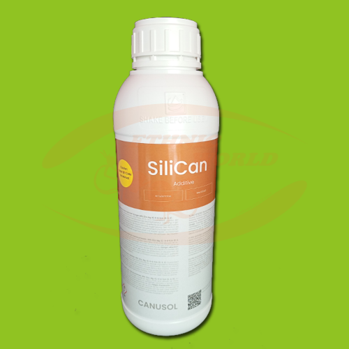 Canusol Silican