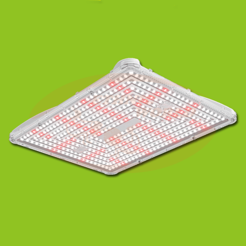 SJ - Kit LED 250W FULL SPECTRUM