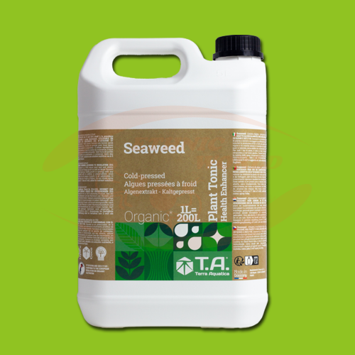 TA Seaweed