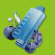 ELF BAR NX 7000 Puffs Blueberry Ice 20 mg