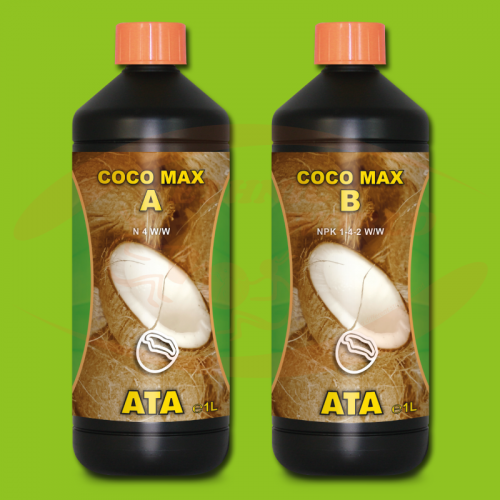 ATA Coco Max A+B