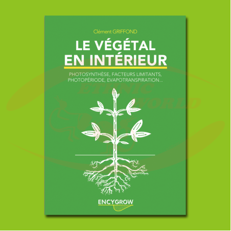 Le végétal en intérieur (FRANZÖSISCH)