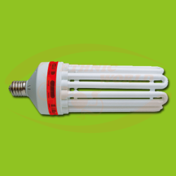 Phytolite CFL Blue