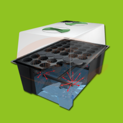 Nutriculture X-Stream Aero Propagator  12