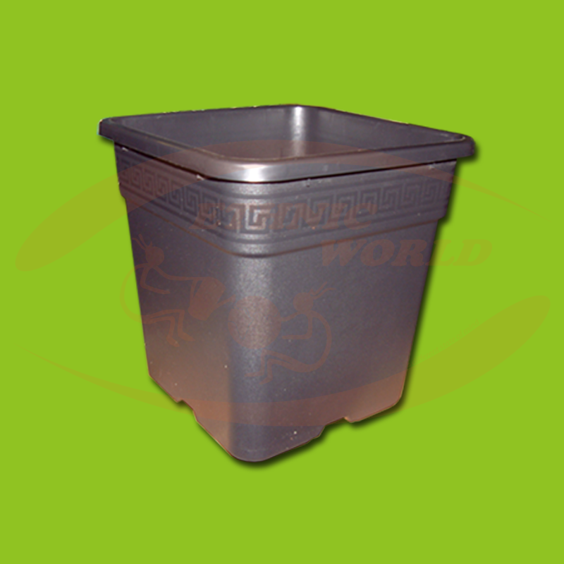 Square Pot  2 lt