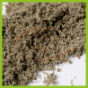 Real Leaf Damiana Blend (30 gr)