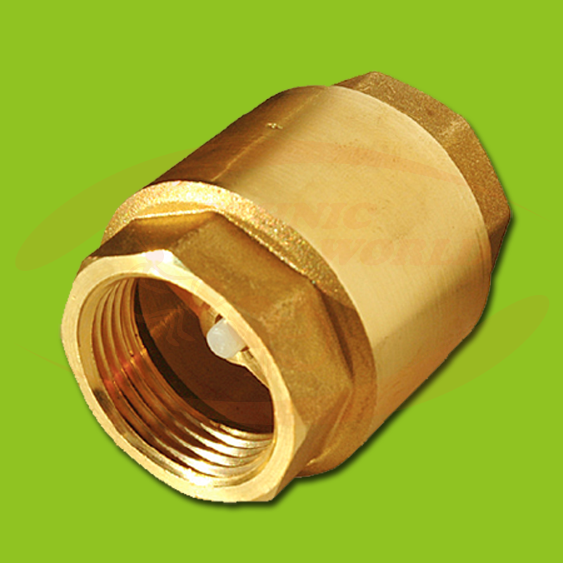 Non-Reverse Valve [1” F]