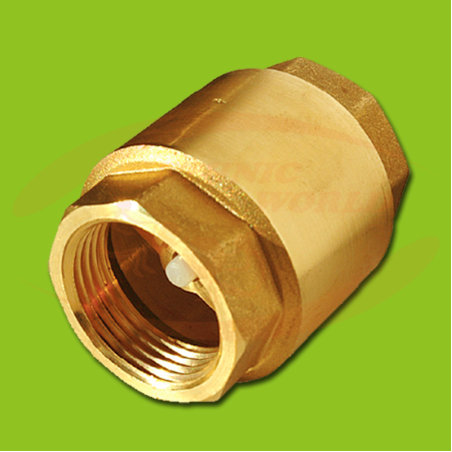 Non-Reverse Valve [1” F]
