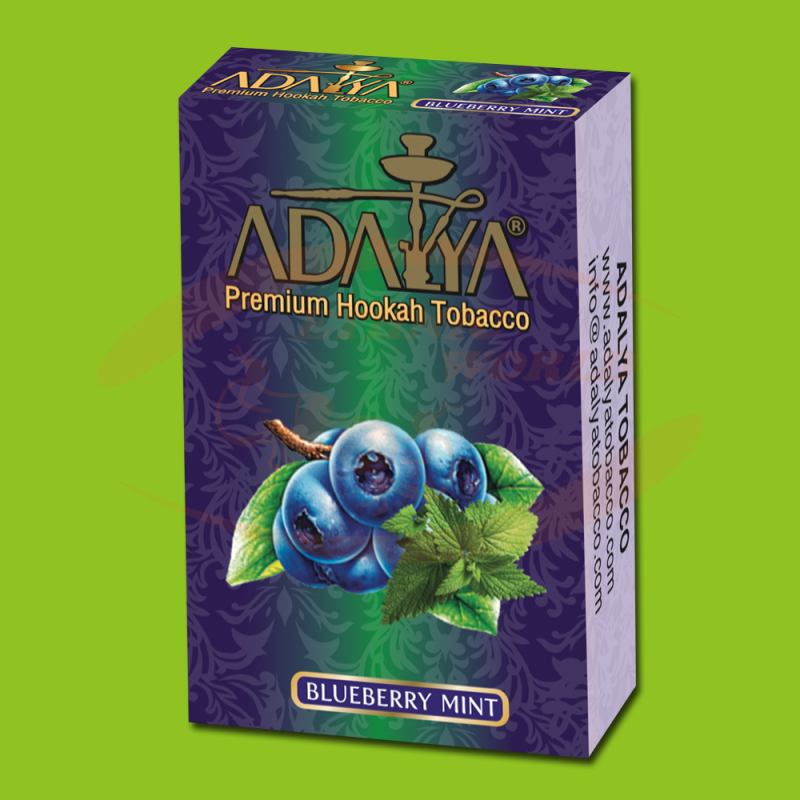 Adalya Blueberry Mint Ethnic World