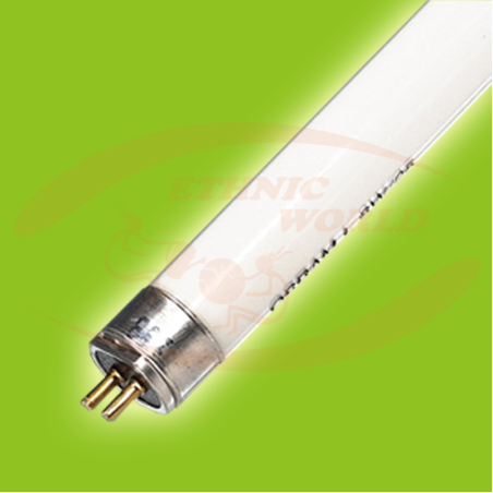 T5 Neon 24 W Sylvania