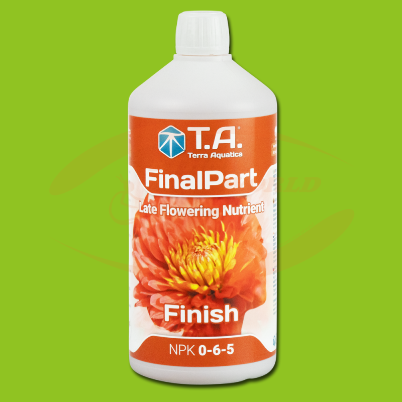 TA FinalPart