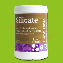TA Silicate