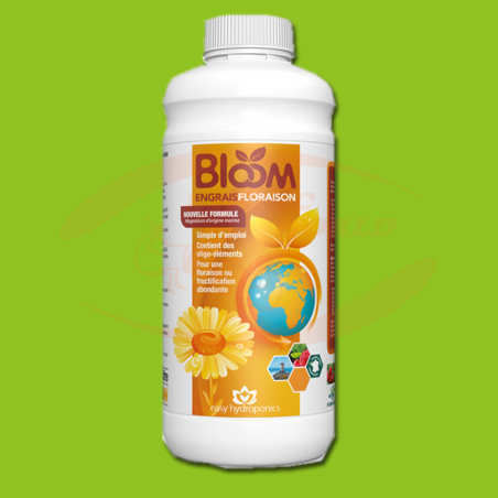 HP Easy Bloom