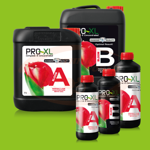 PRO-XL Bloom A+B