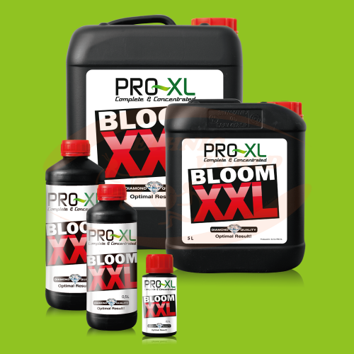PRO-XL Bloom XXL