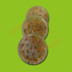 Greengo Eco Grinder Recycled THC Plastic