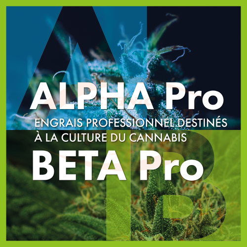 TheAzimut ALPHA + BETA Pro