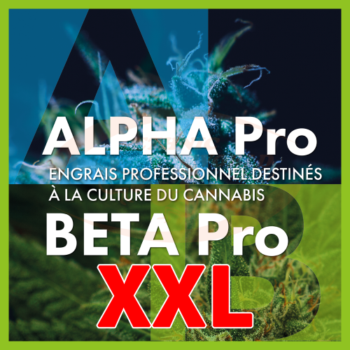 TheAzimut ALPHA + BETA Pro - XXL