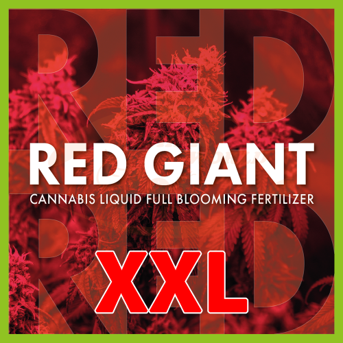 TheAzimut RED GIANT - XXL