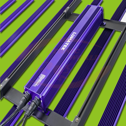 Lumatek LED ZEUS 1000W PRO EVO 3.1