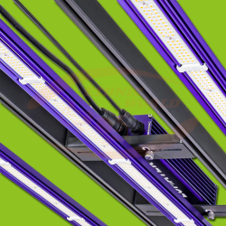 Lumatek LED ZEUS 300W PRO 3.1