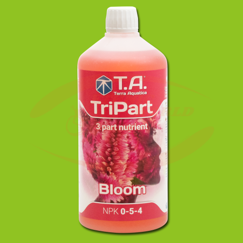 TA TriPart Bloom