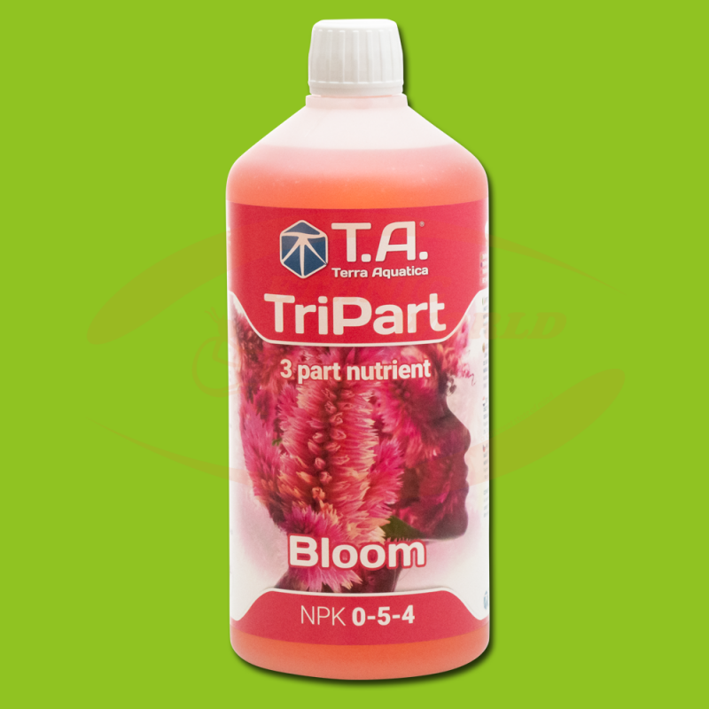 TA TriPart Bloom