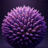 Smell Crusher 40 Day Gel - Lavender