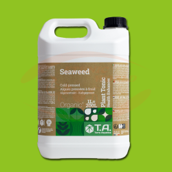 TA Seaweed