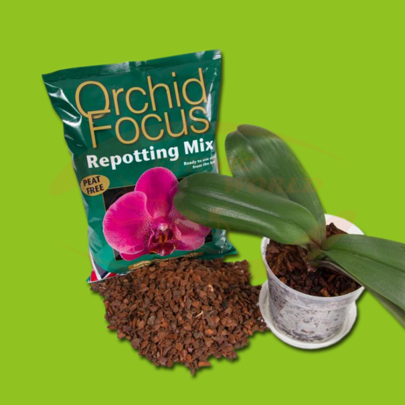 Substrat pour orchidées - Ethnic World