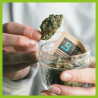 Boveda 58% Humidity Pack