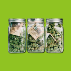 Boveda 58% Humidity Pack