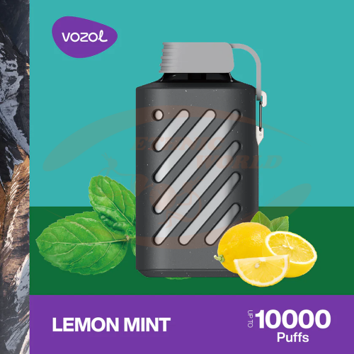 Vozol Gear 10000 puffs Lemon Mint (20mg)