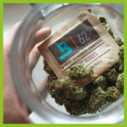 Boveda 62% Humidity Pack