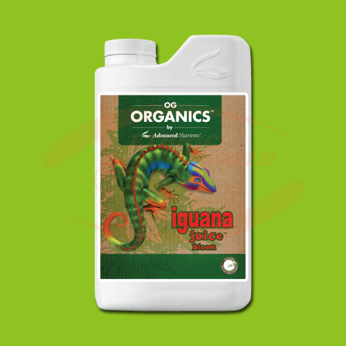 AN OG Organics Iguana Juice Bloom