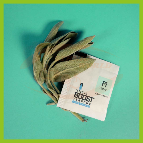 Integra Boost TERPENE Pinene 62% ( 4g)