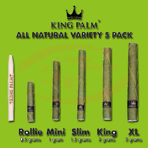 King Palm Variety Size Nature (5 pces)