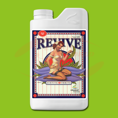 AN Revive