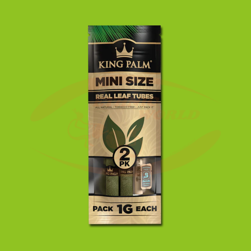 King Palm Mini Nature (2 Stk)