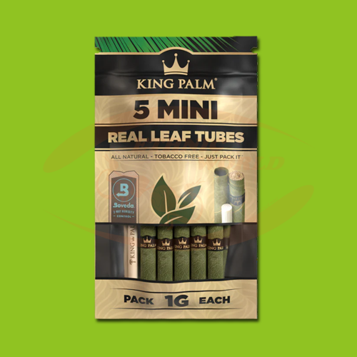 King Palm Mini Nature (5 Stk)