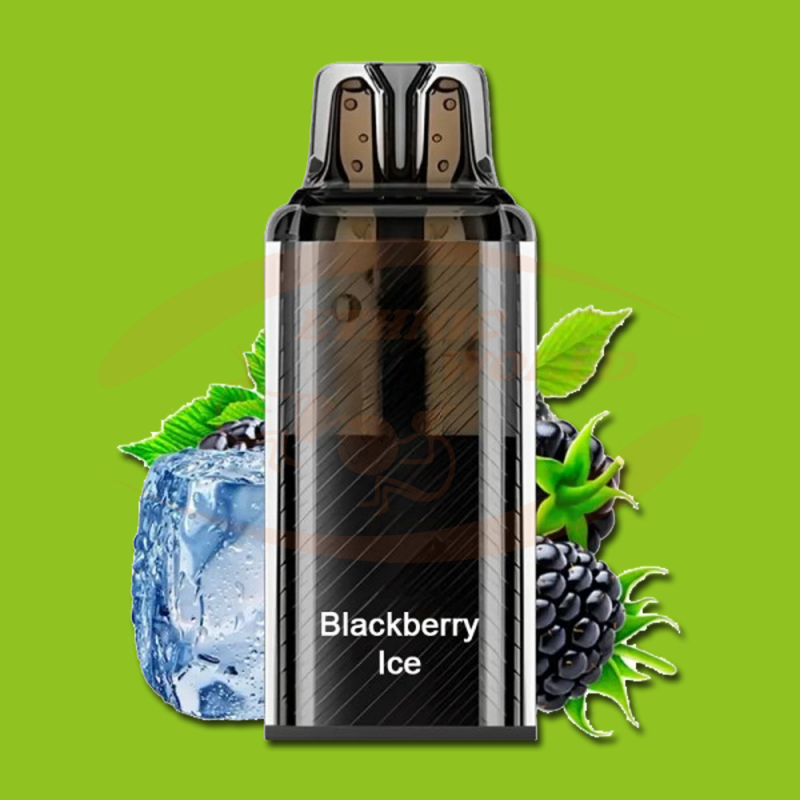 Vista Plug POD 10+2ml 20 mg Blackberry Ice