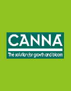 Canna