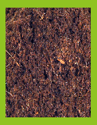 Substrat fibre de coco, achat en ligne
