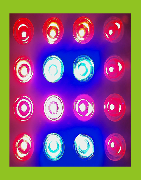 LED-Gartenbau, online kaufen Indoor-Kulturlampe