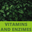 TP - Vitamines et Enzymes
