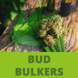 TP - Bud Bulkers