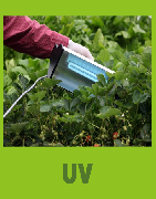 UV disinfection